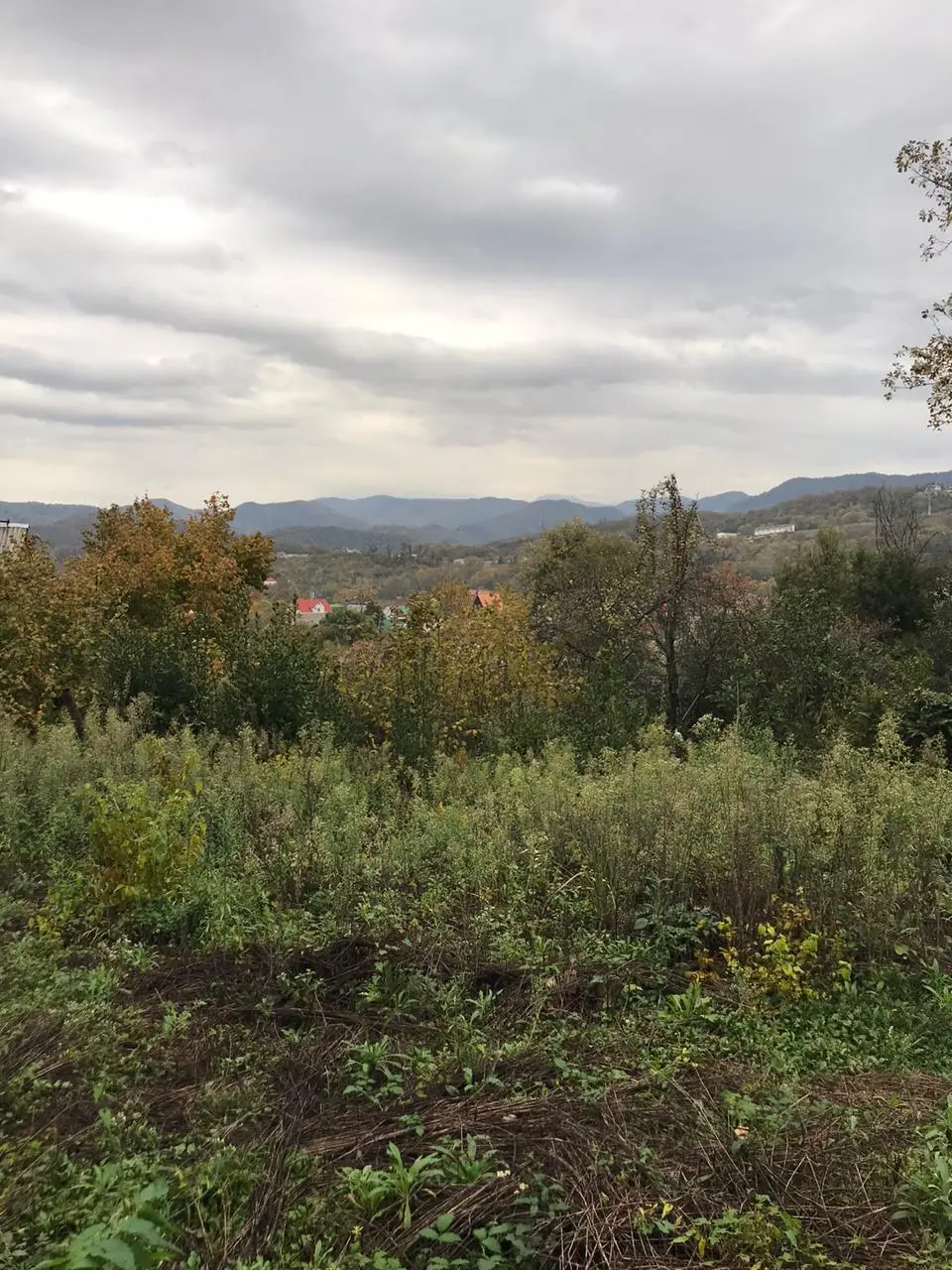 участок для дома