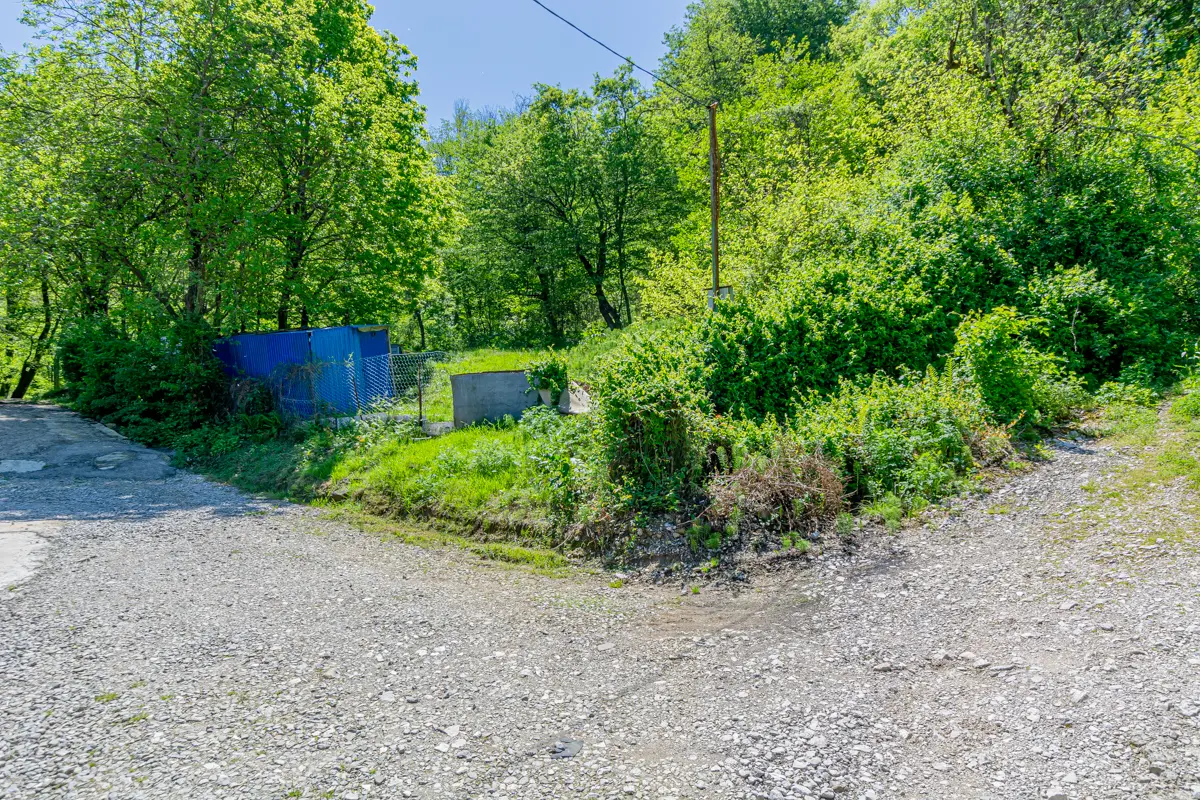 Участок возле леса