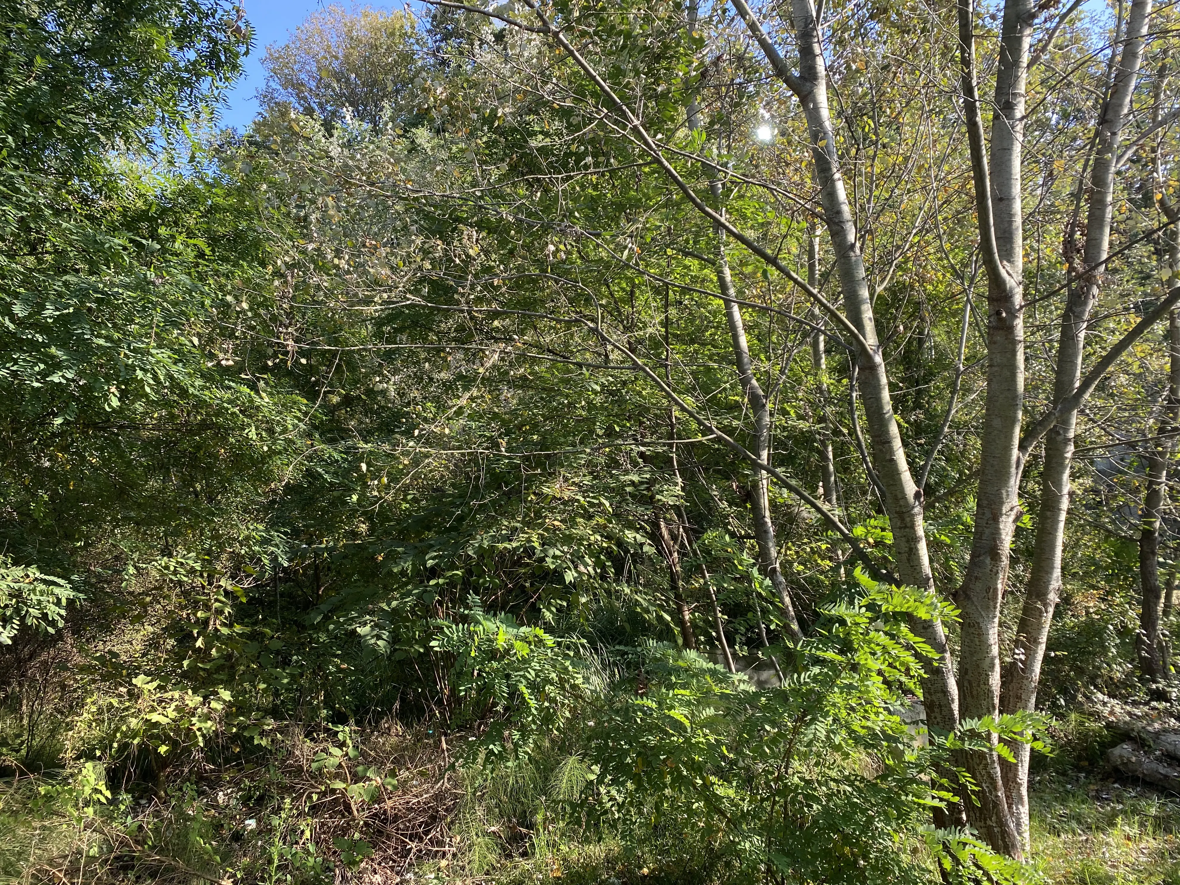 Продам участок в центре Сочи