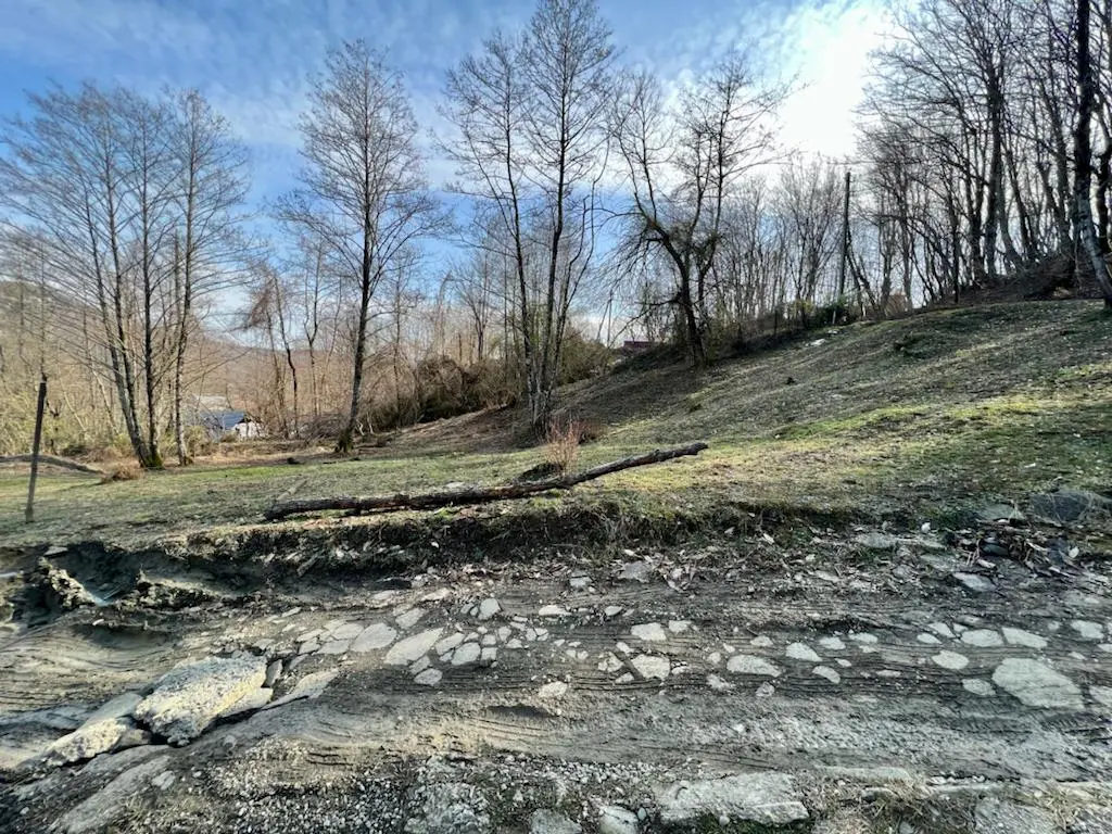 Прекрасный участок