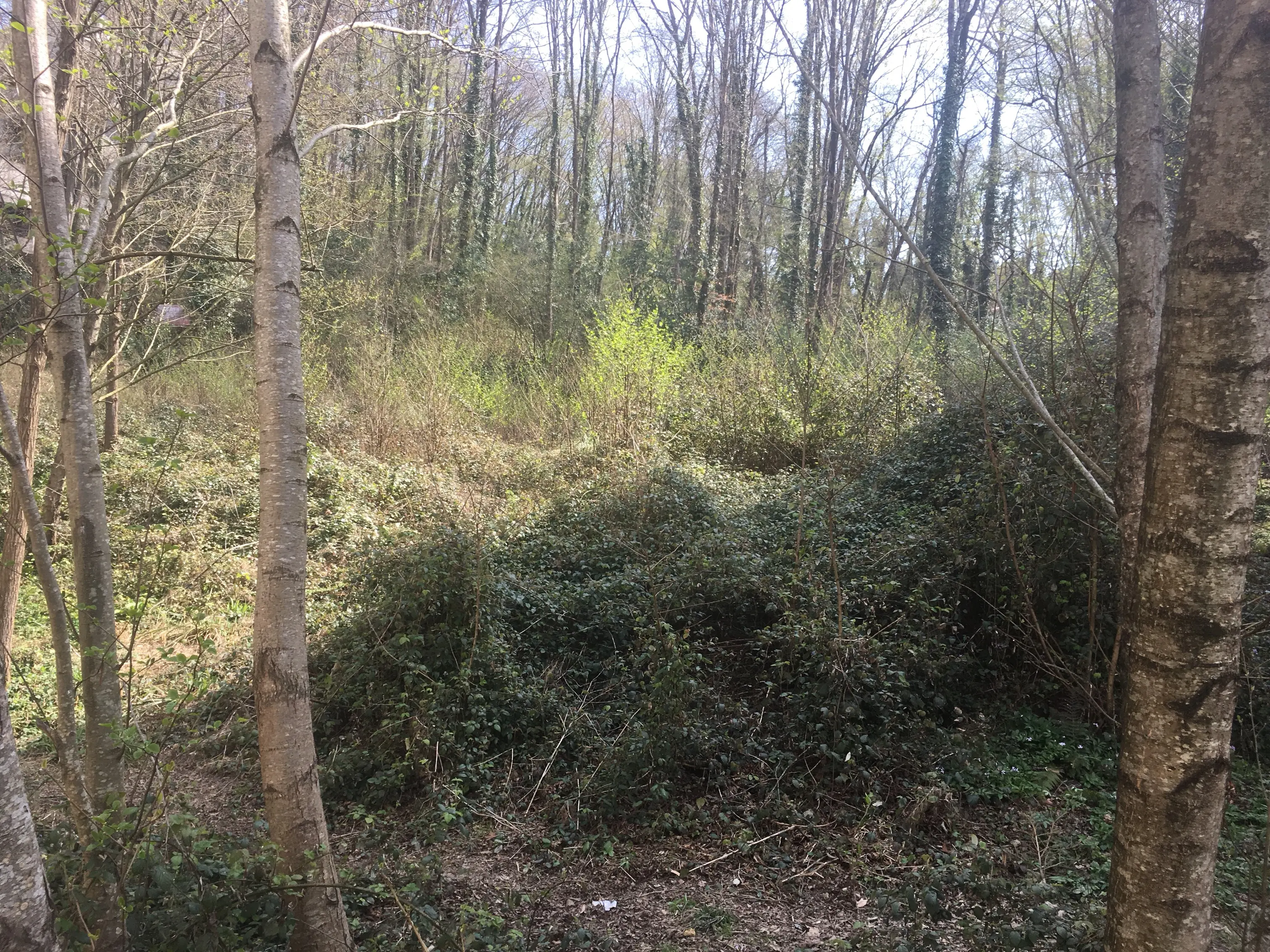 Продается участок в центральном районе г. Соч...