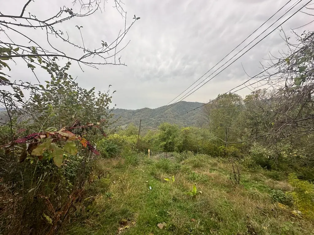 Участок с видами на долину и Кавказские горы