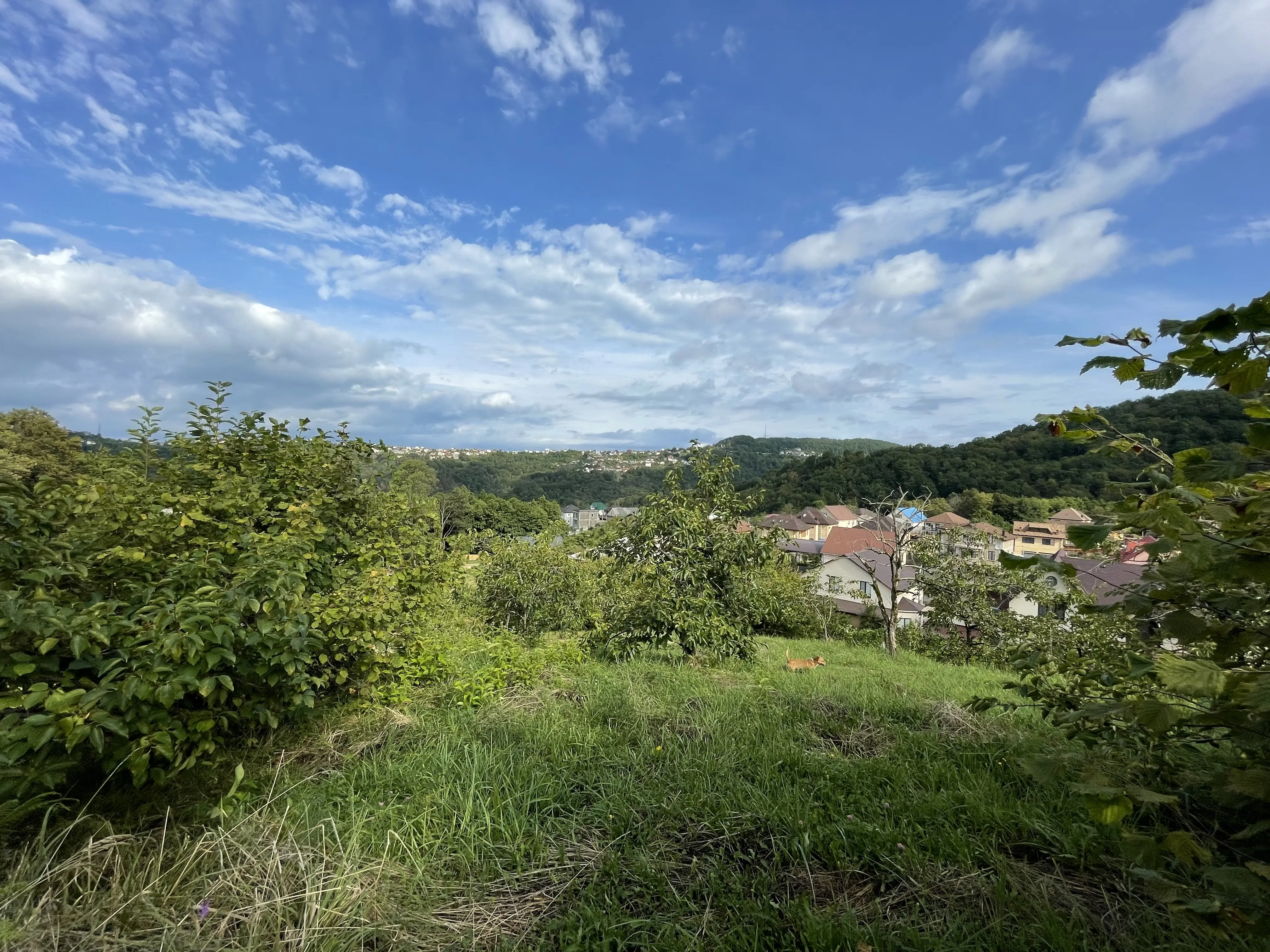 Участок с красивым видом