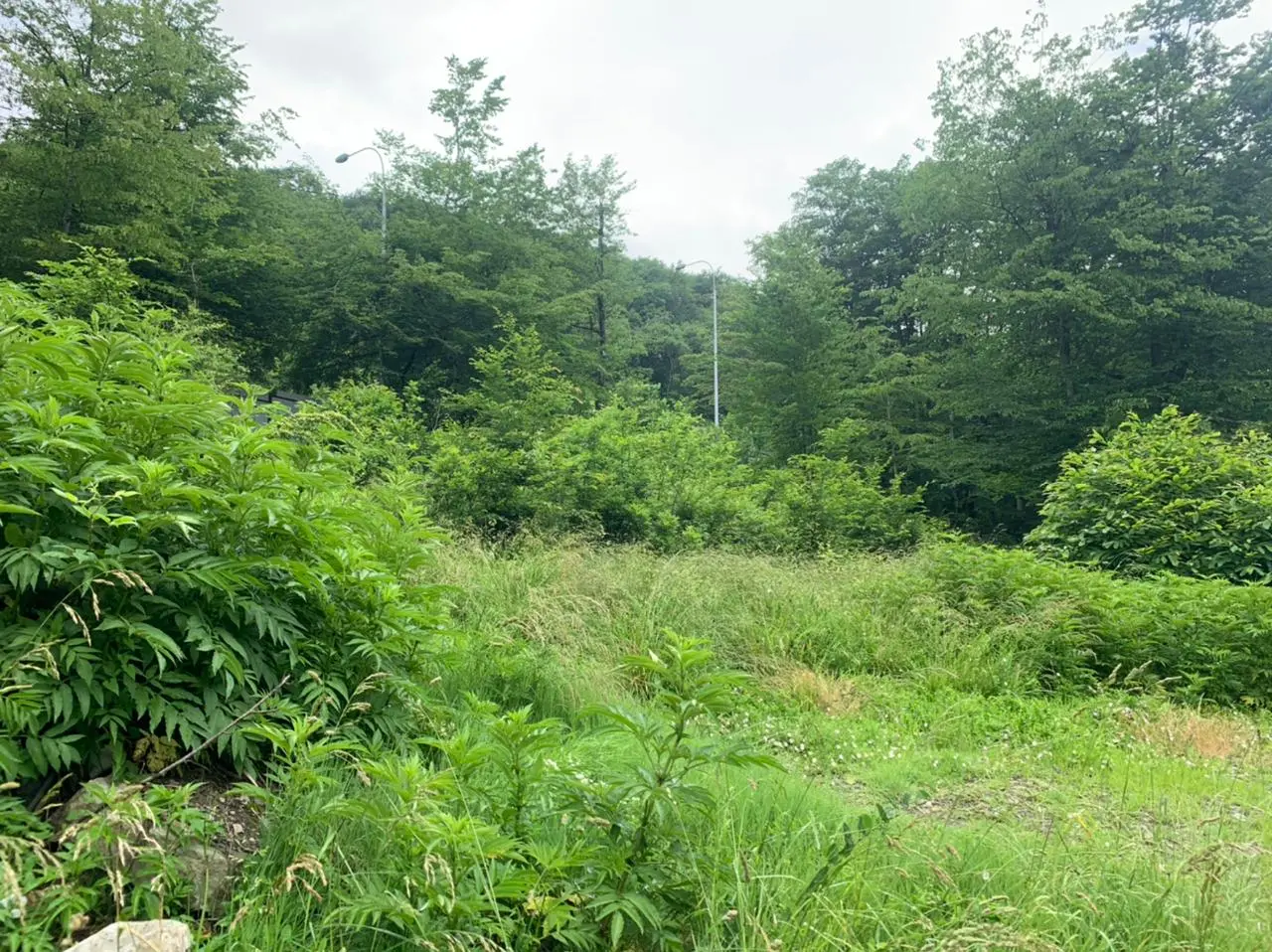 Отличное предложение