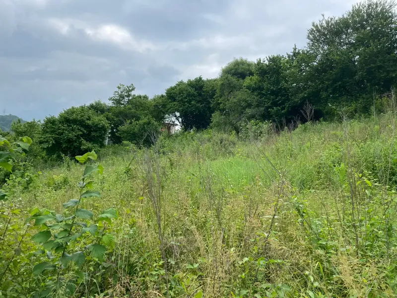 Продаю отличный земельный участок рядом с мор...