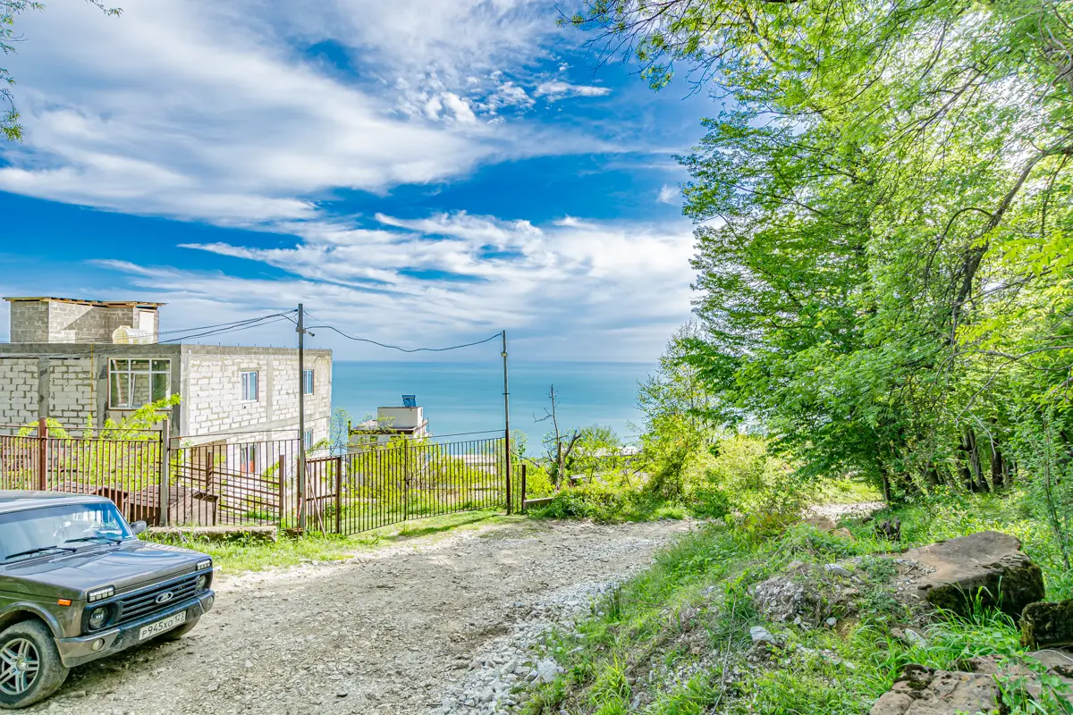 Участок среди деревьев 