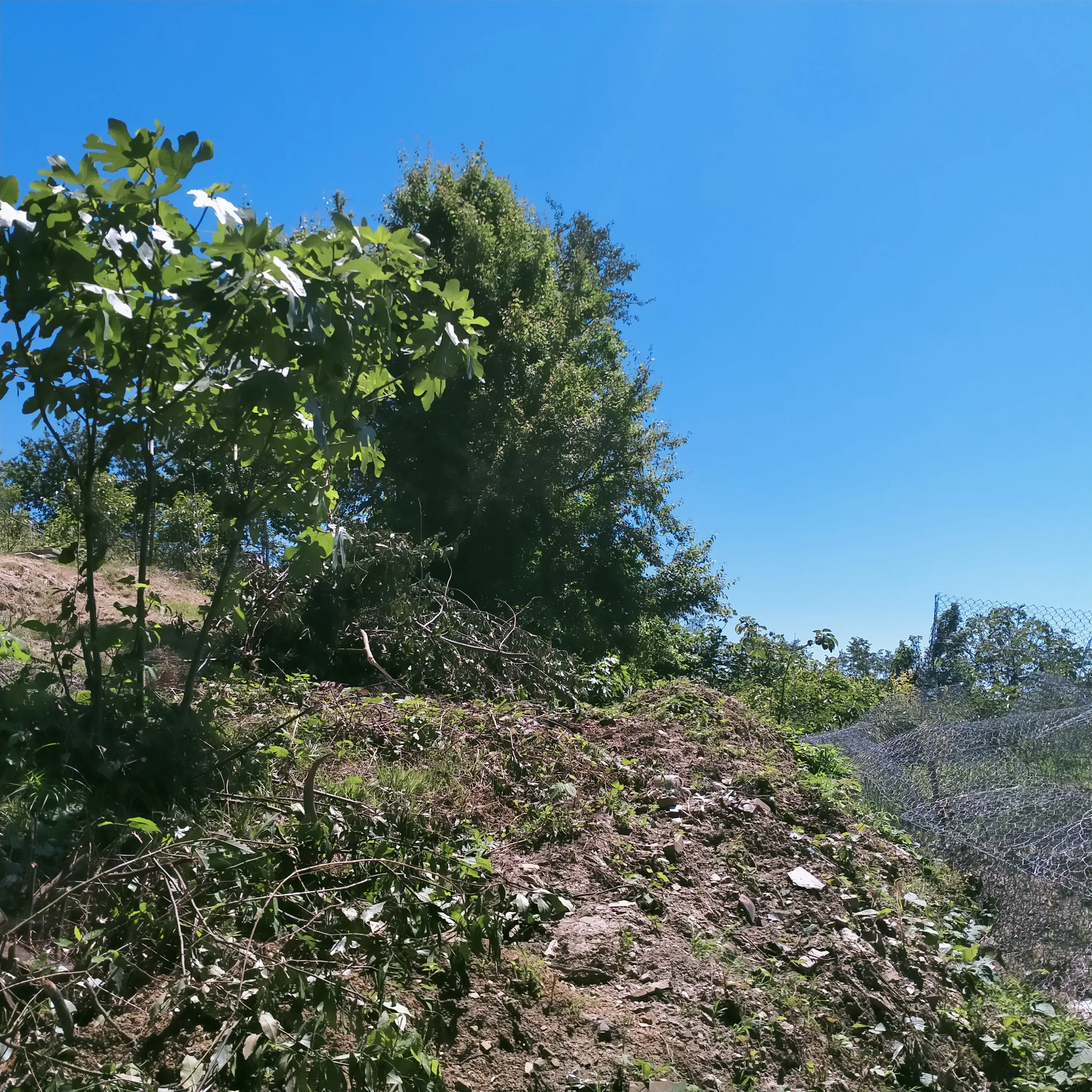 Участок с видом на горы