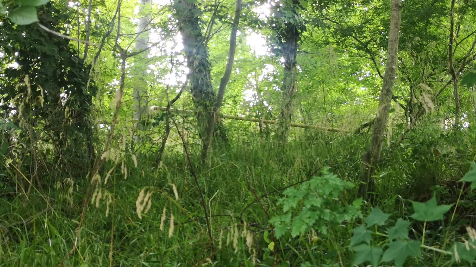 Участок в Вардане под строительство коттеджно...