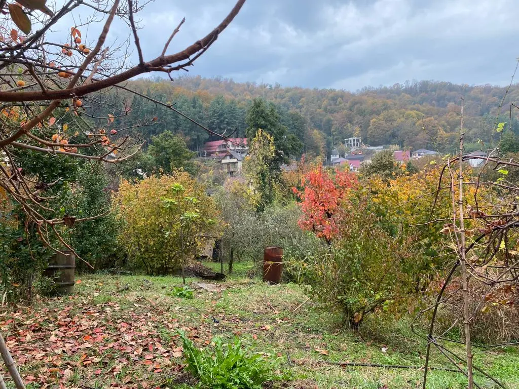 Участок в 10 минутах от центра