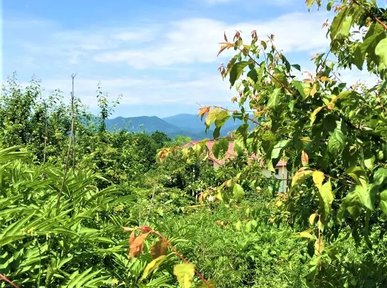 Продам земельный участок в Сергей-поле