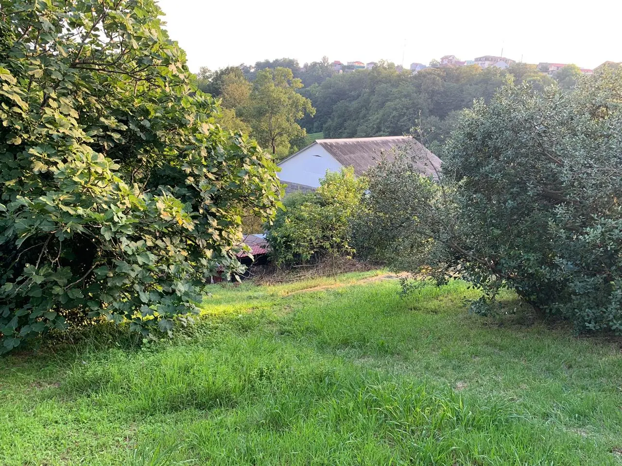 участок на улице Абовяна 