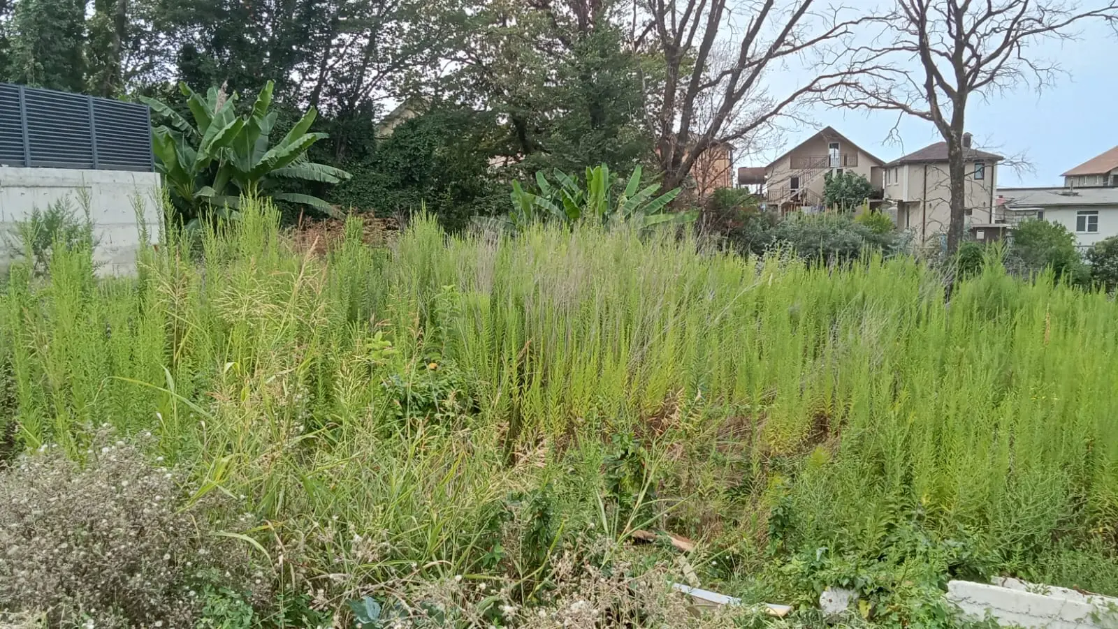 Прекрасный дом в Адлере!