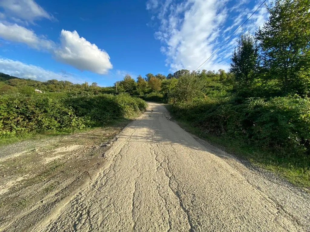 Срочная продажа в прекрасной локации