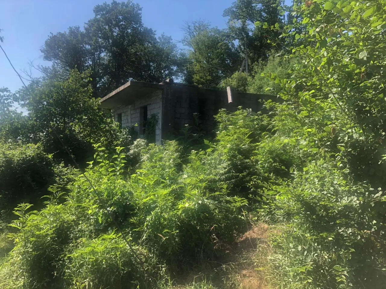 Участок с прекрасным видом