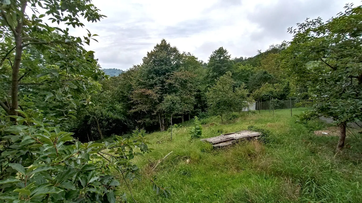 Шикарный участок в Галицино