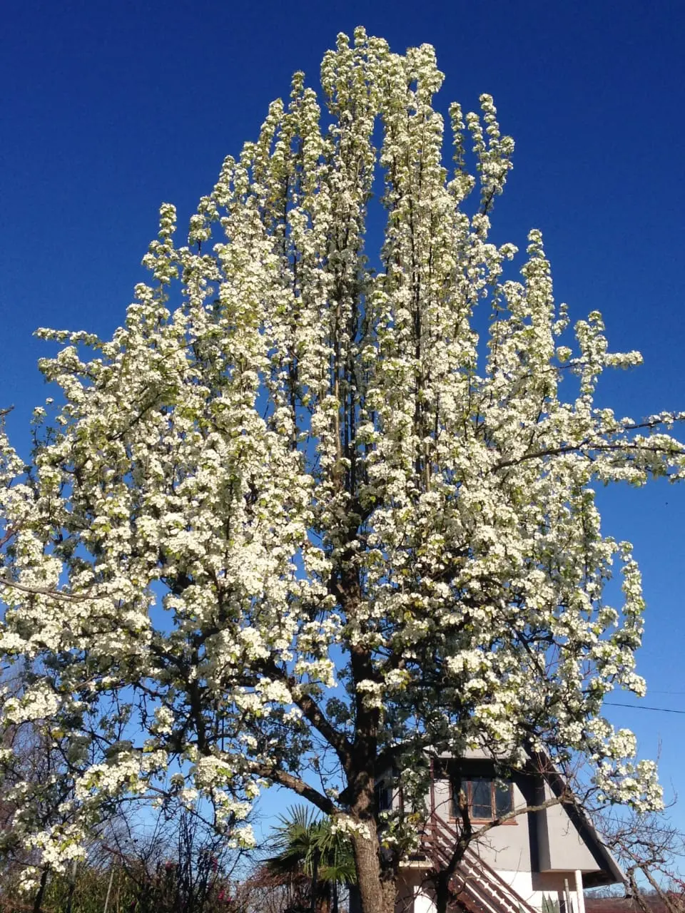 Земельный участок в Лоо