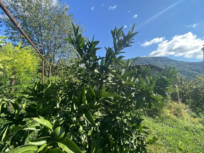 Участок со всеми коммуникациями