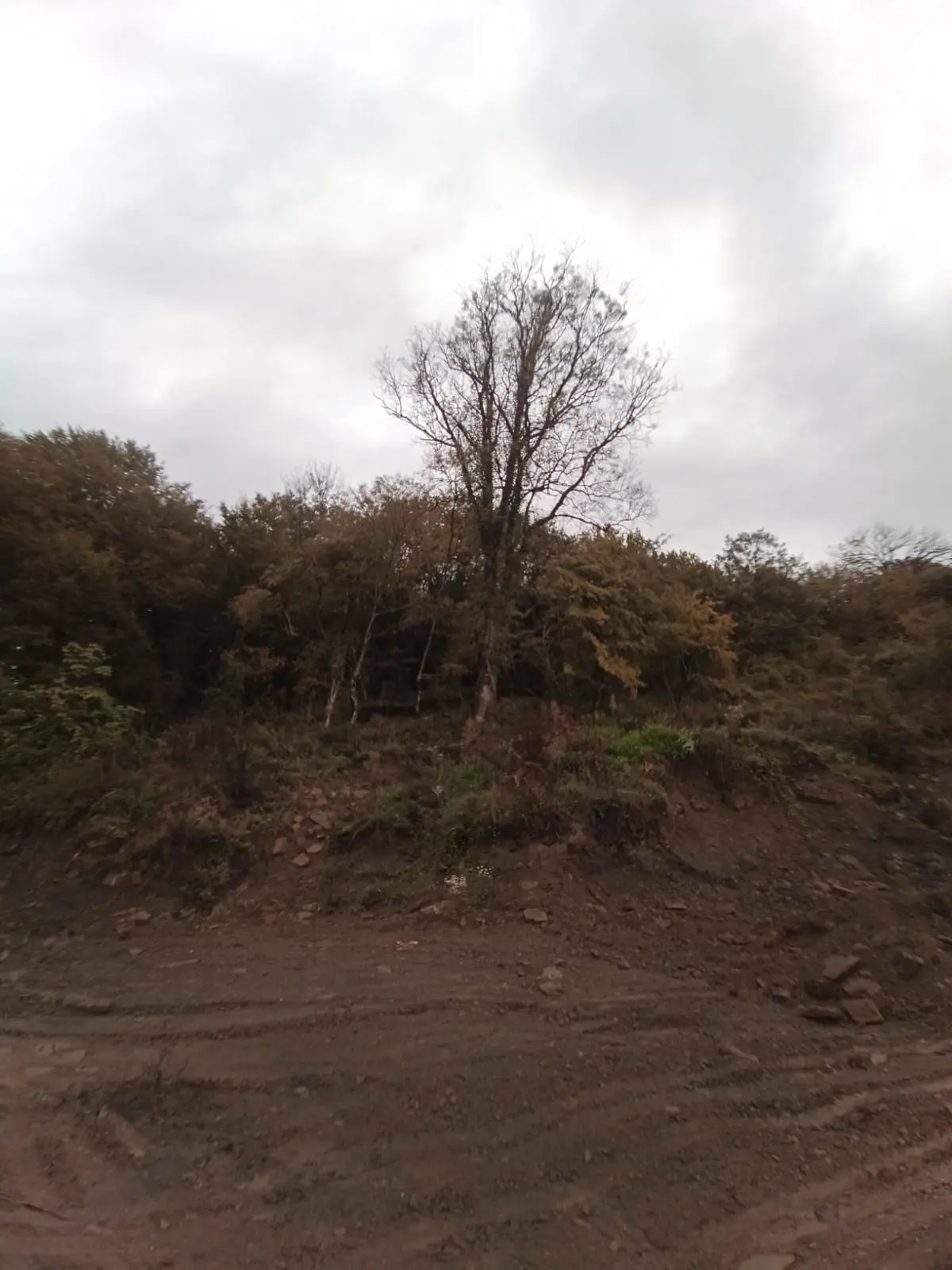 Продаётся земельный участок