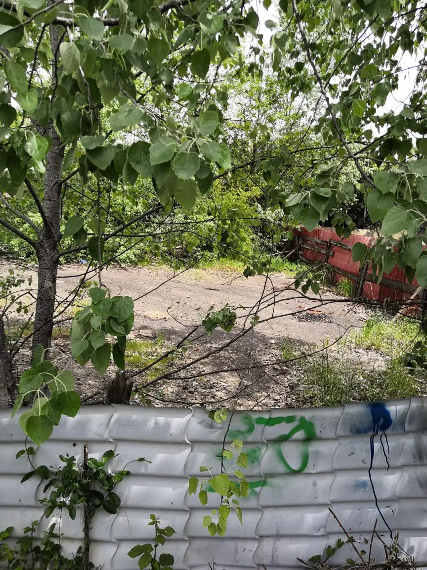 земля на Бамбуковой