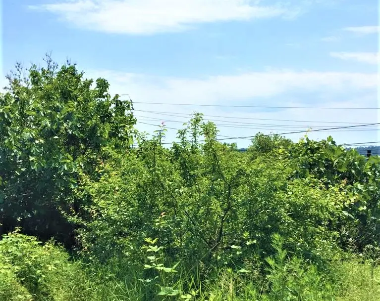 Продам видовой участок в Сергей-поле