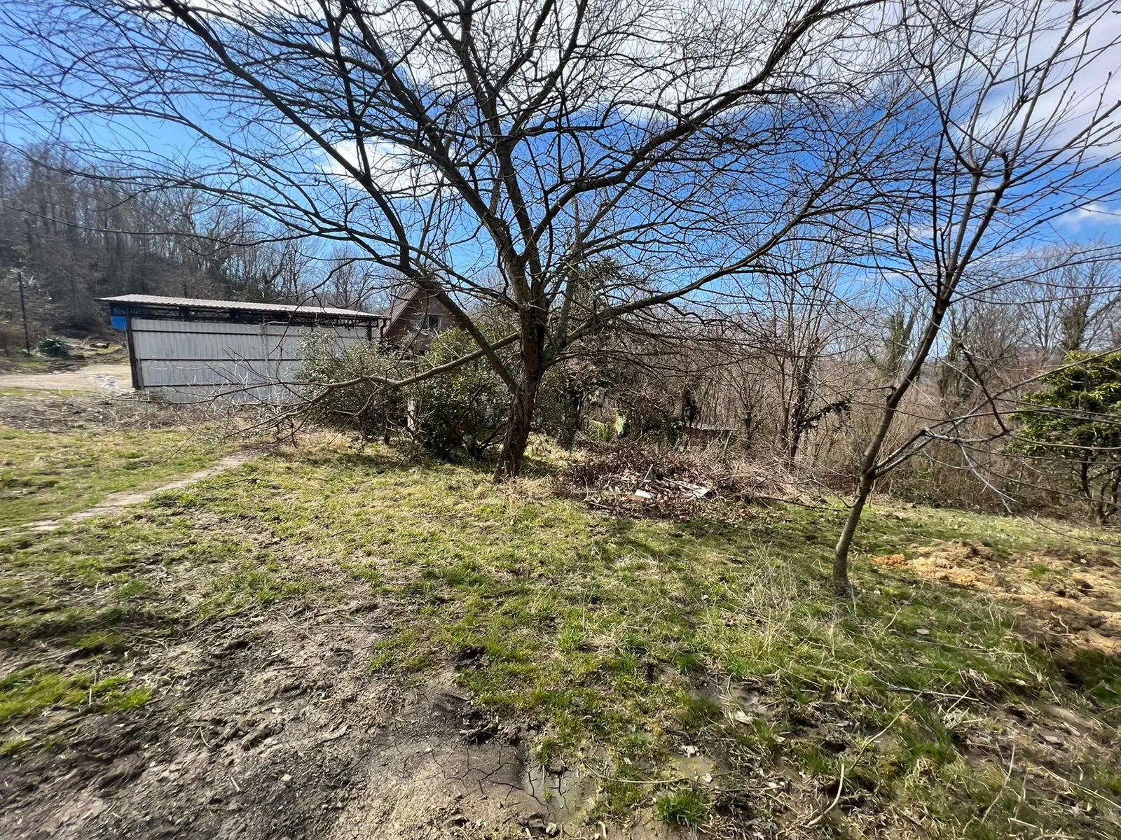 Отличный участок, рядом с лесом