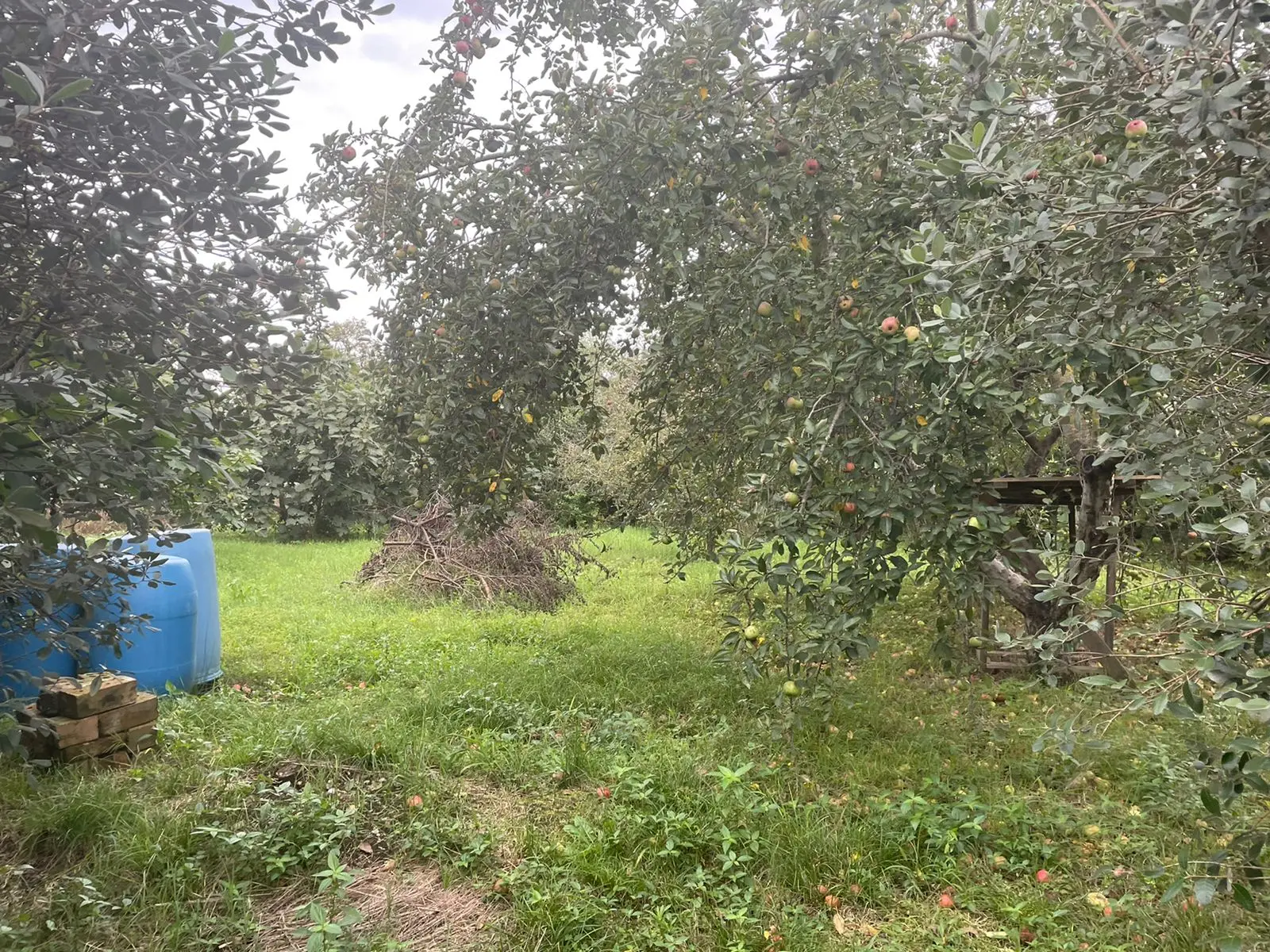 Идеально ровный участок, до Олимпийского парк...