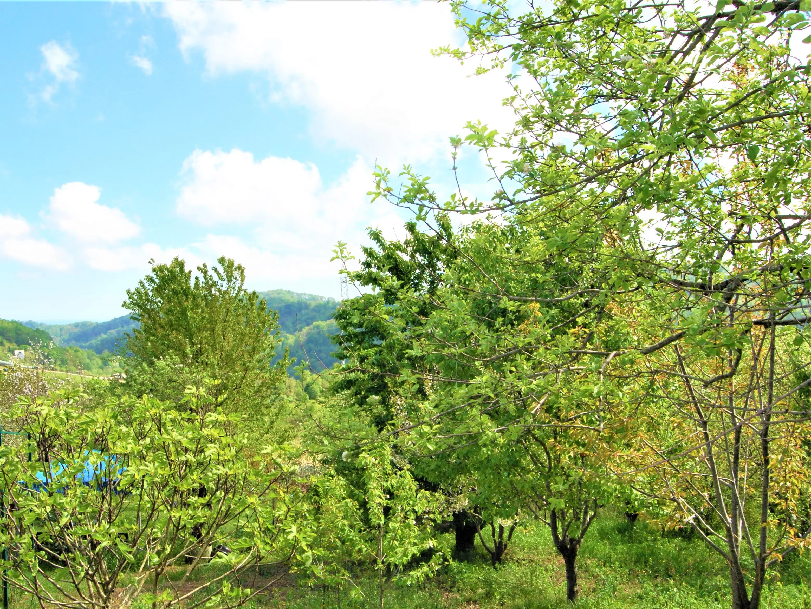 Лучший участок для строительства большого дом...