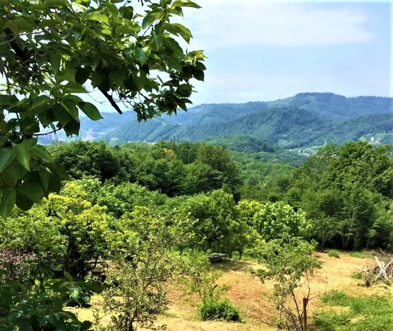 Шикарный видовой участок