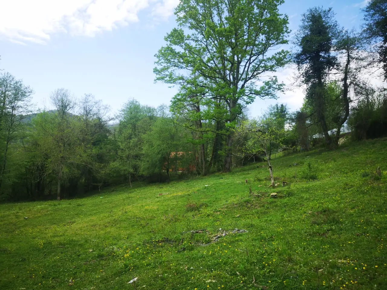 Земельный участок под частную резиденцию или ...