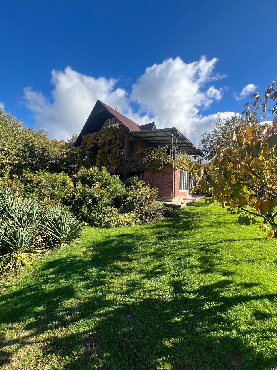 Дом с ремонтом в окружении природы