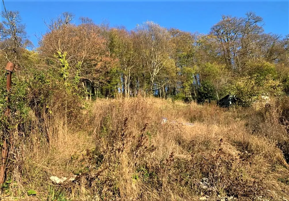 ВИДОВОЙ УЧАСТОК