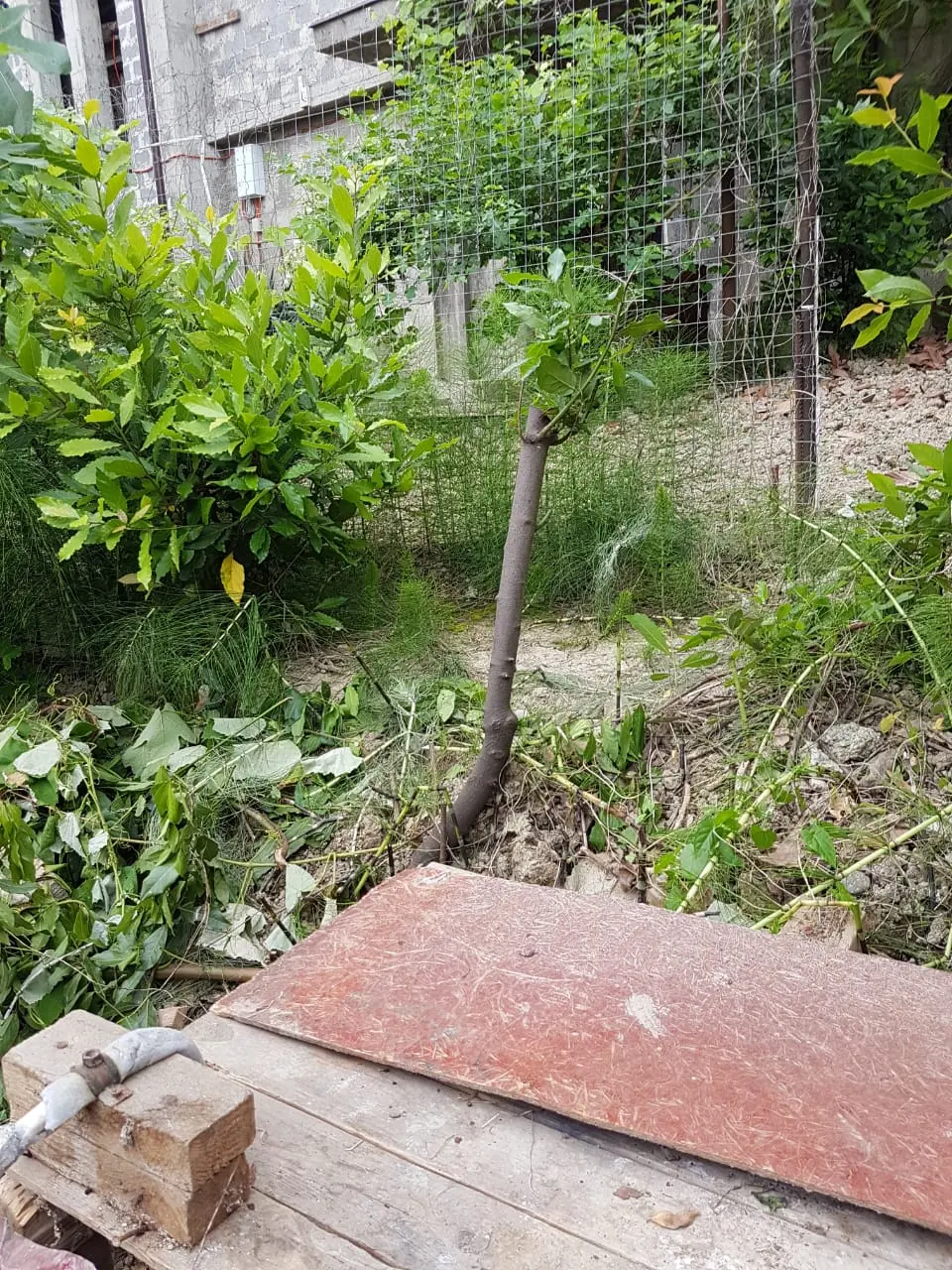 Участок под строительство гостиницы. 