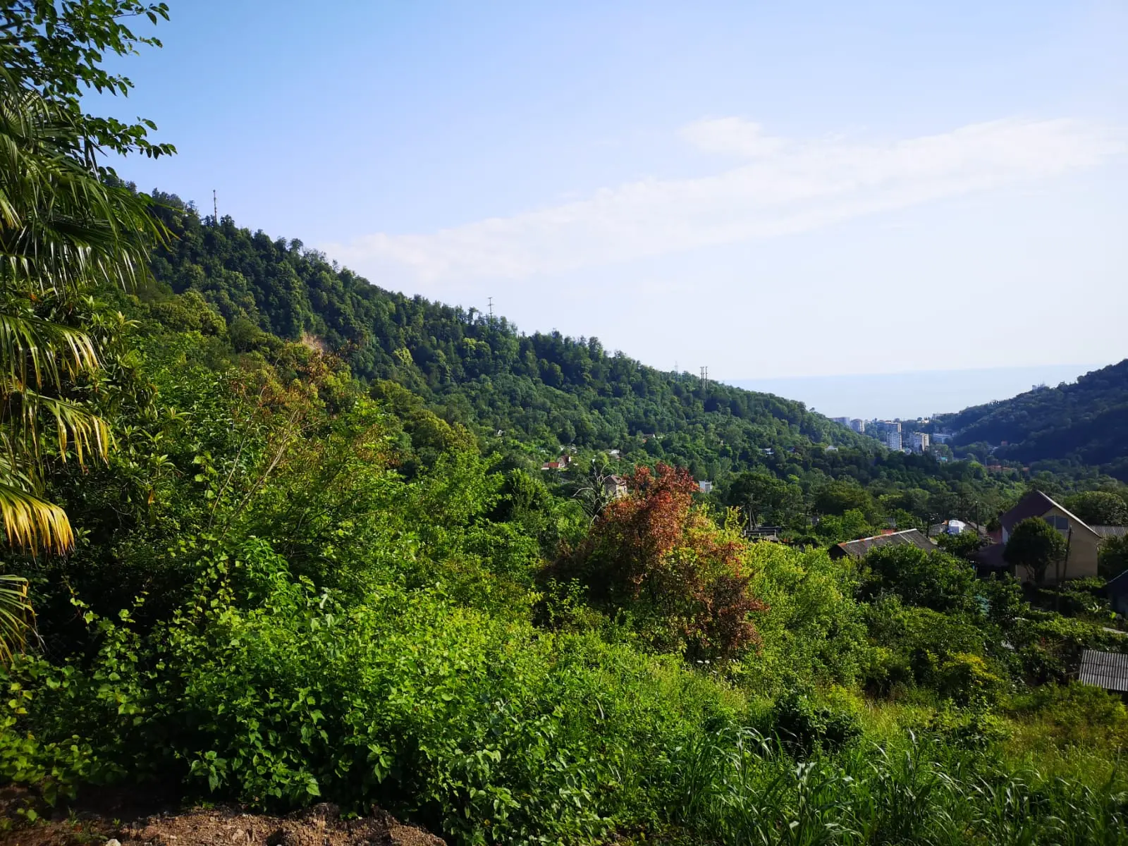 Видовой участок в Хосте