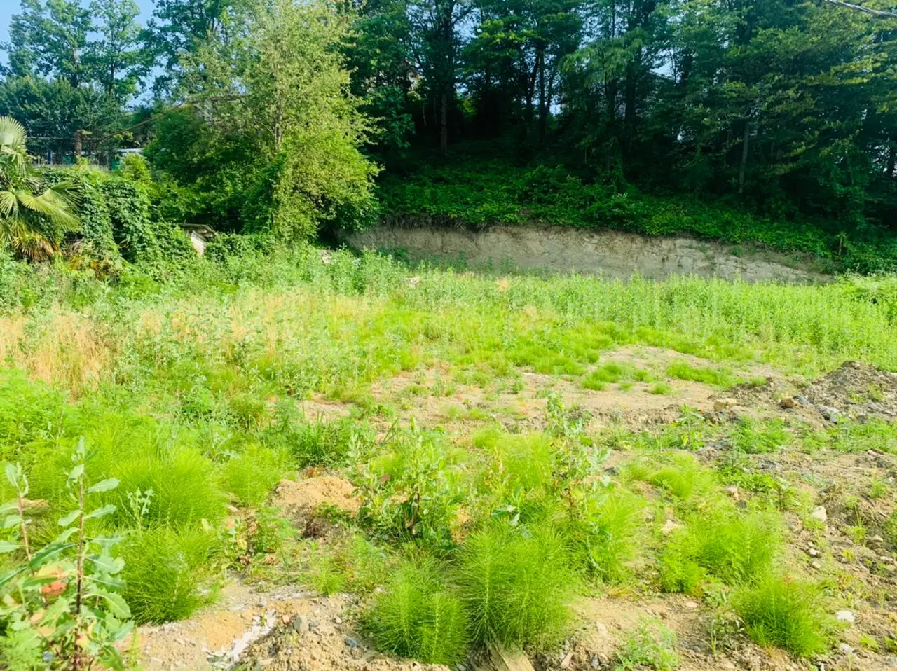 Участок в Сергей поле