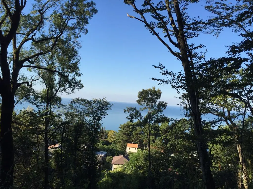 Продается в Сочи земельный участок 12 сот. ка...