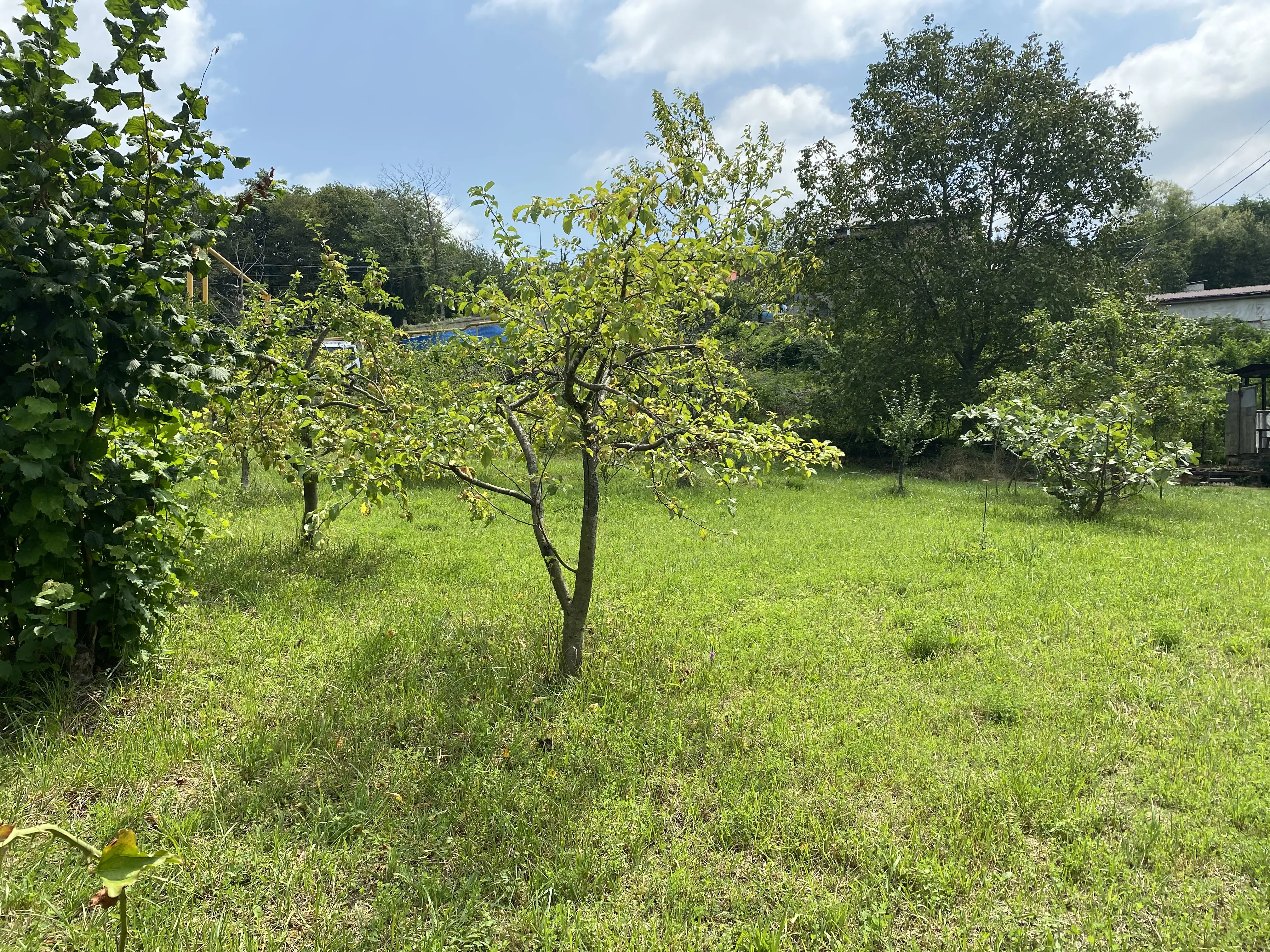 Продаю роскошный участок в Мацесте