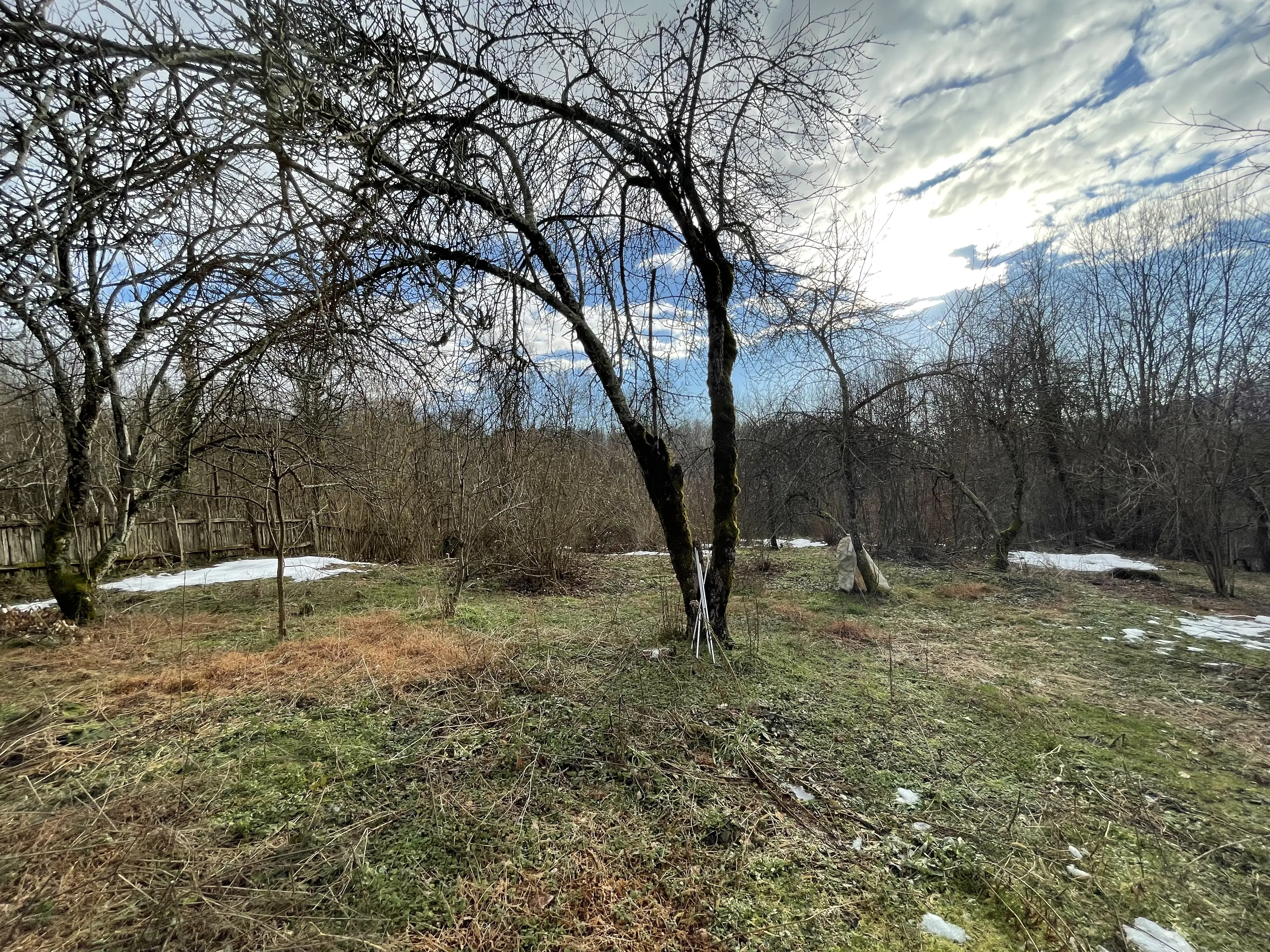 Вдали от городской суеты