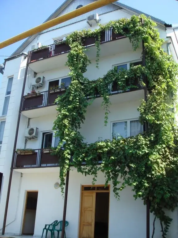 Гостевой дом в центре Адлера