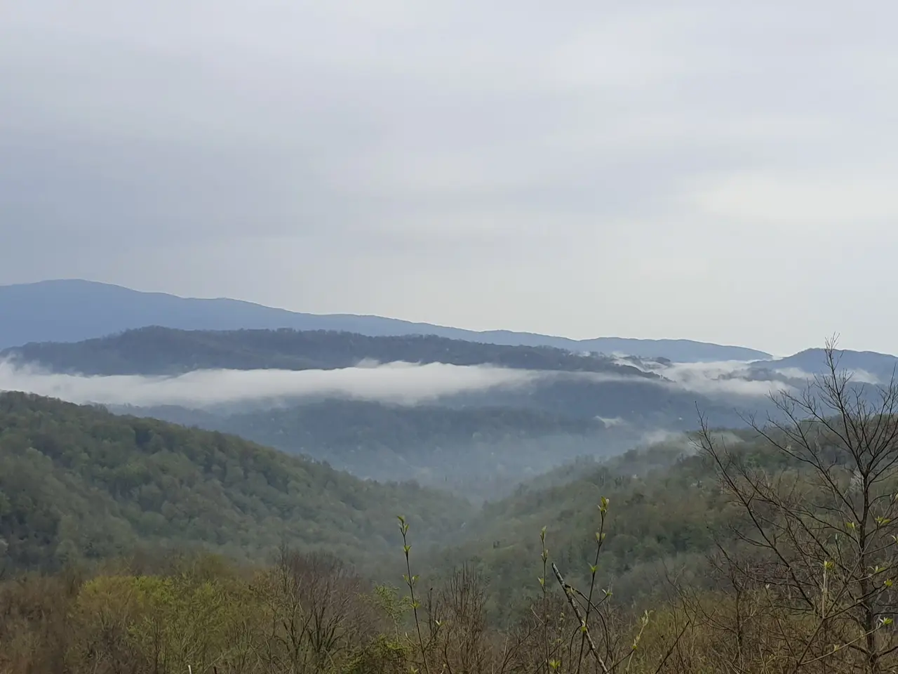 Участок с видом в Ермоловке