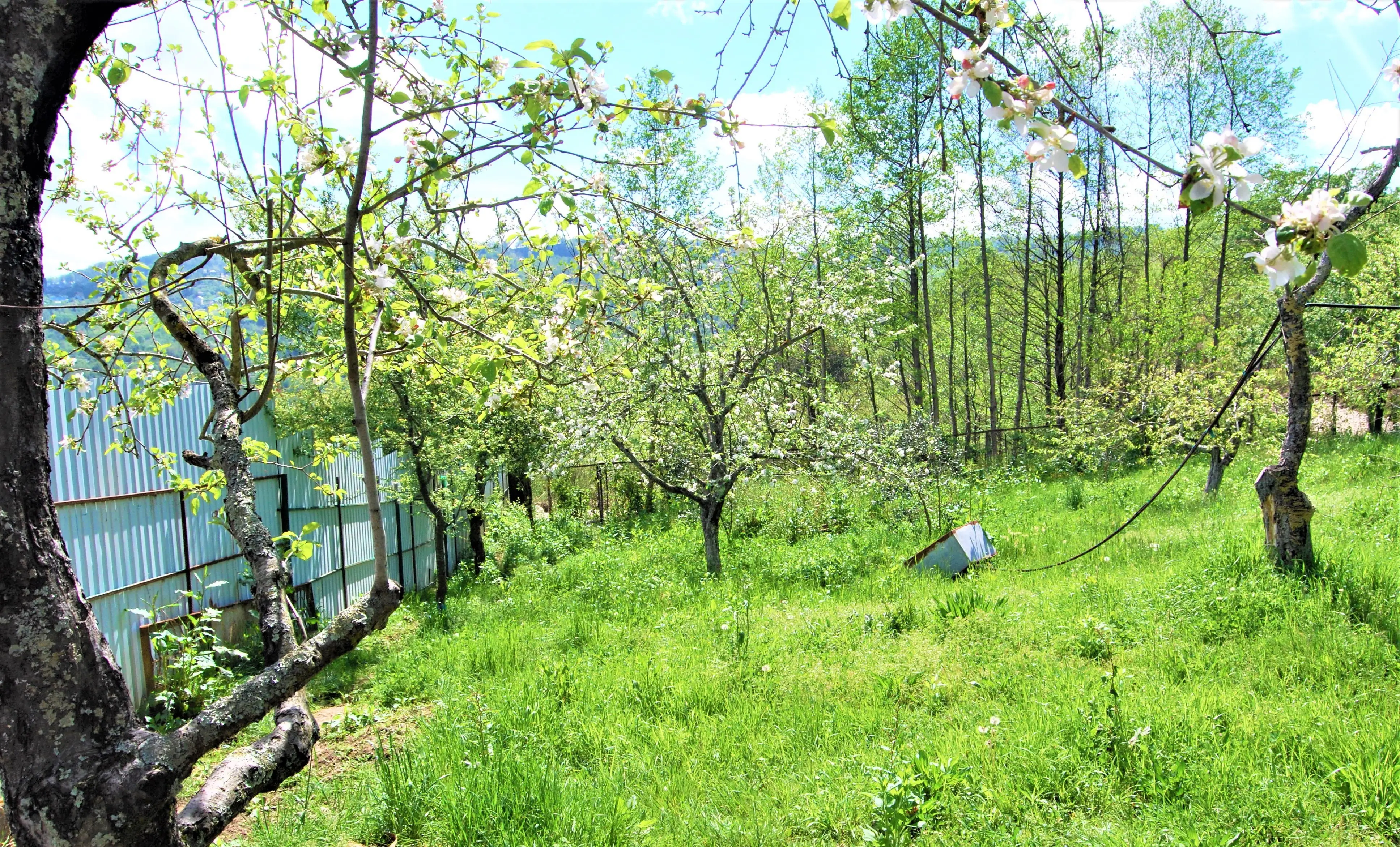 Шикарный участок с видом на море