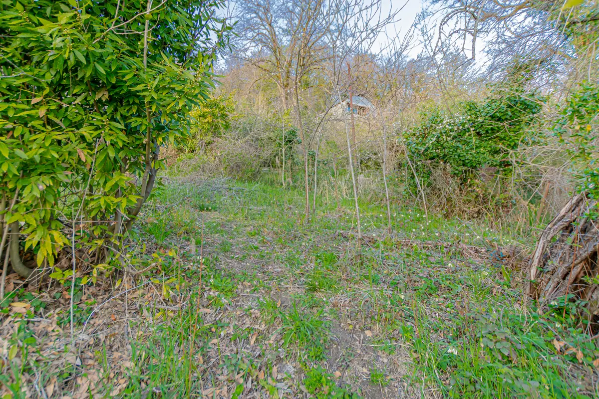 Участок с панорамным видом на море