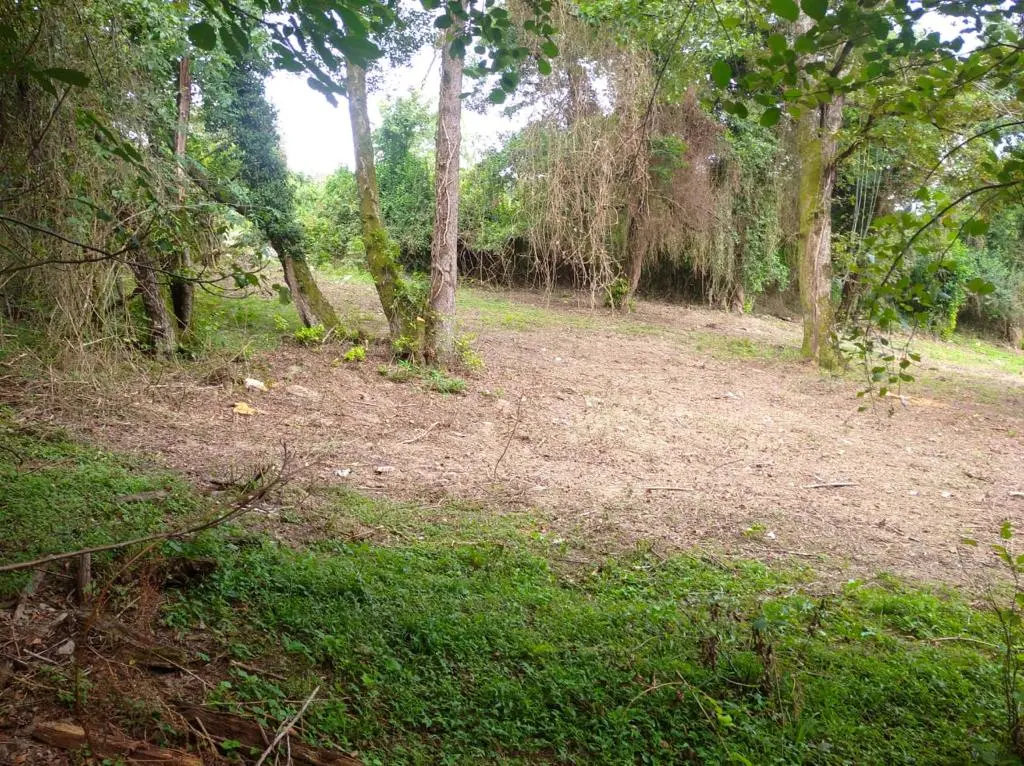 Участок в Хосте