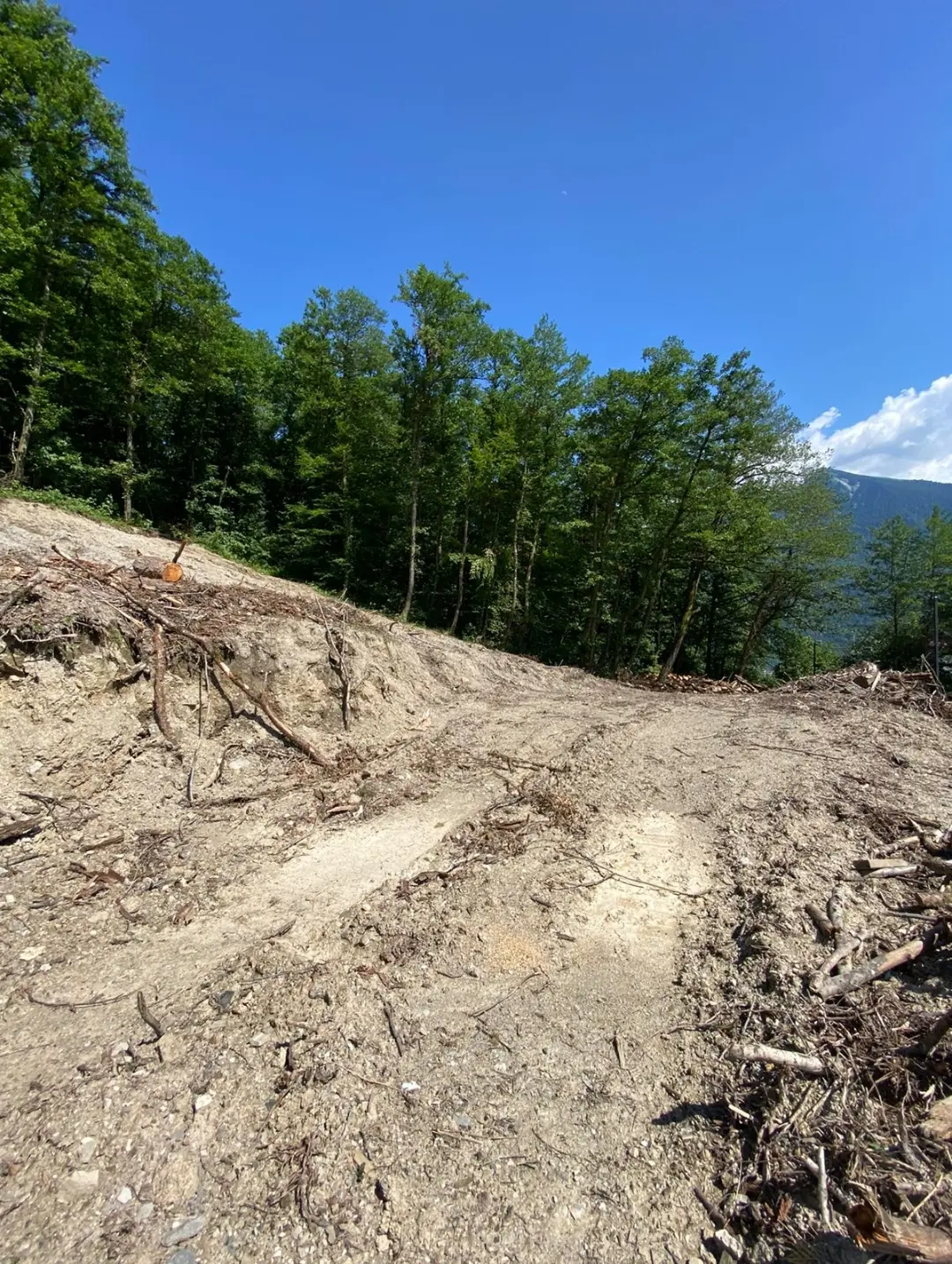 Роскошный участок в Красной Поляне 