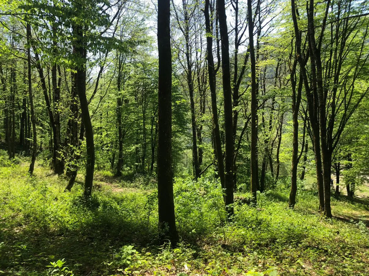 Шикарный видовой участок для строительства им...