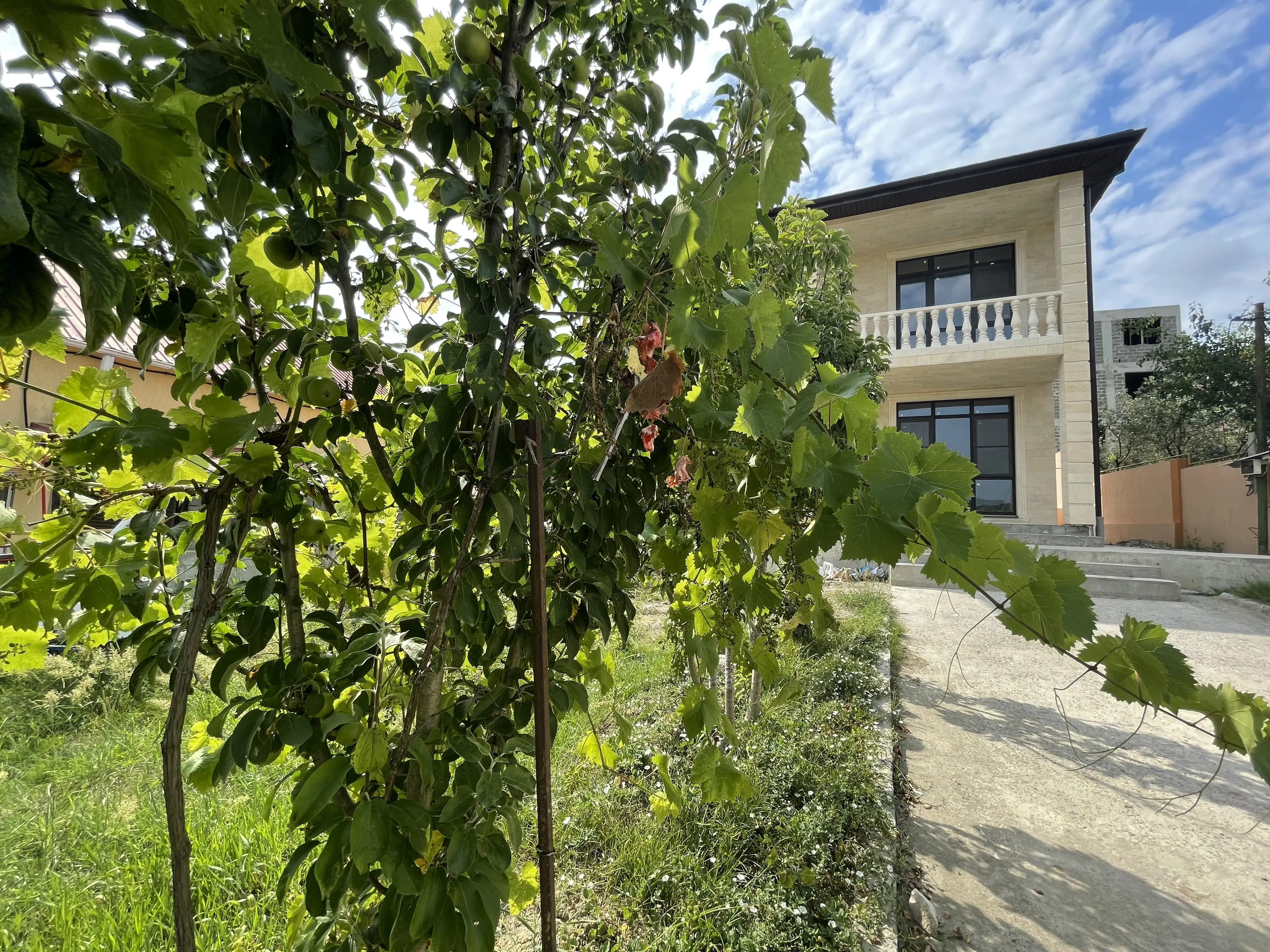 Хорошее предложение по хорошей цене