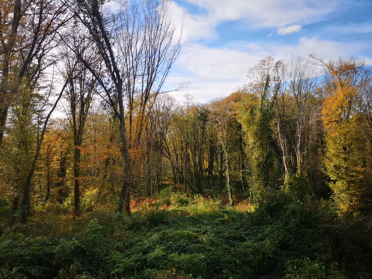 Земельный участок под строительство 