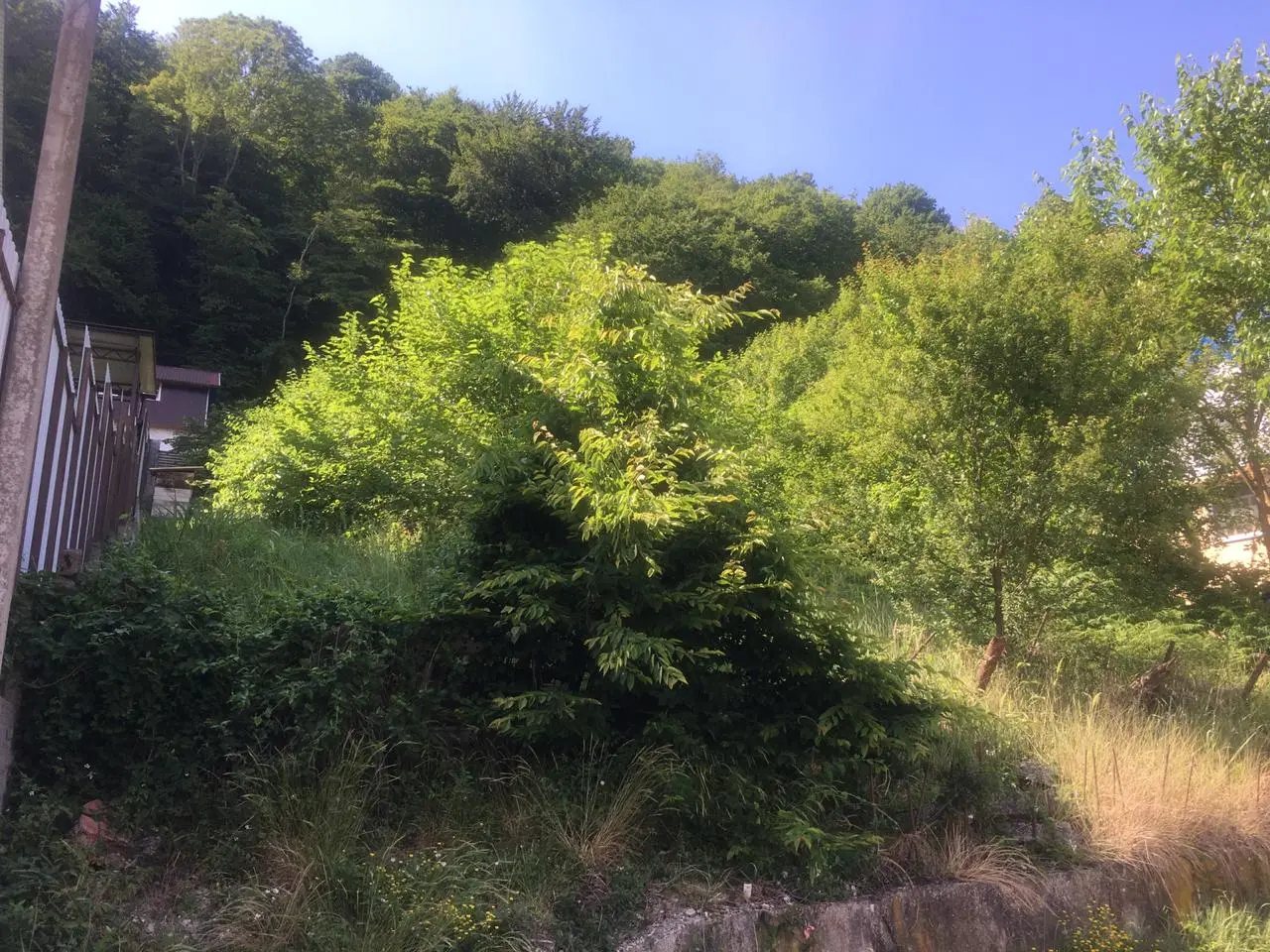 Участок в центре Дагомыса