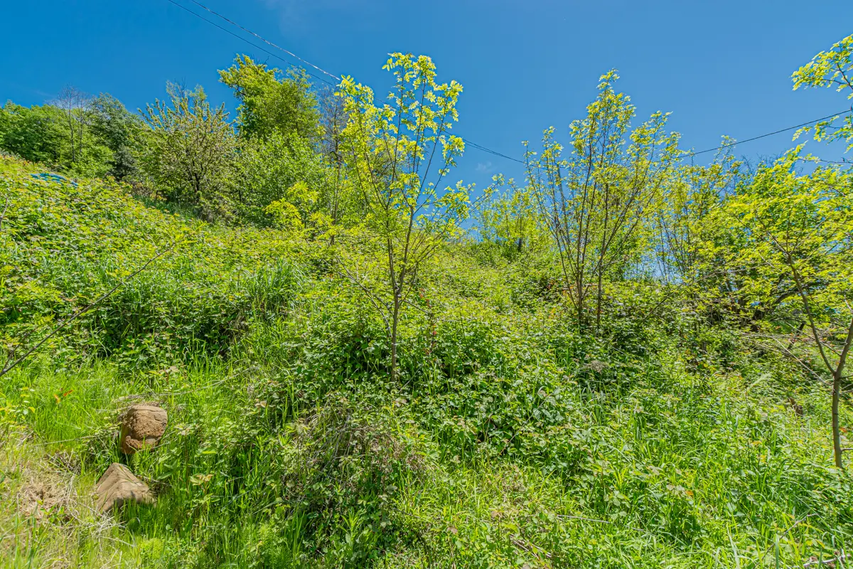 Участок с панорамным видом на море