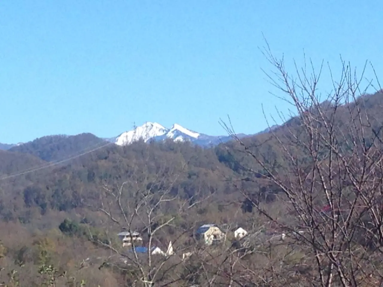 участок с плодоносящим садом