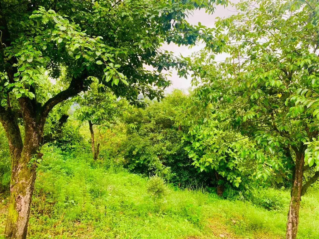 Участок 36 соток Верхнее Буу